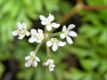 DSCN0322.jpg