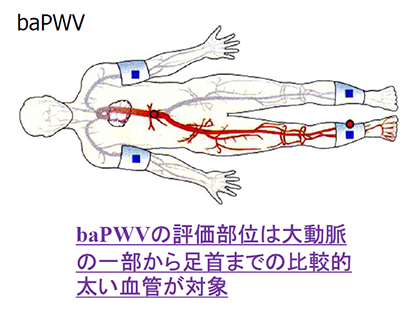 開発の経緯